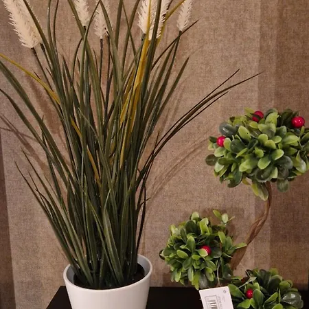 Sensation 1 * Sf. Constantin și Elena